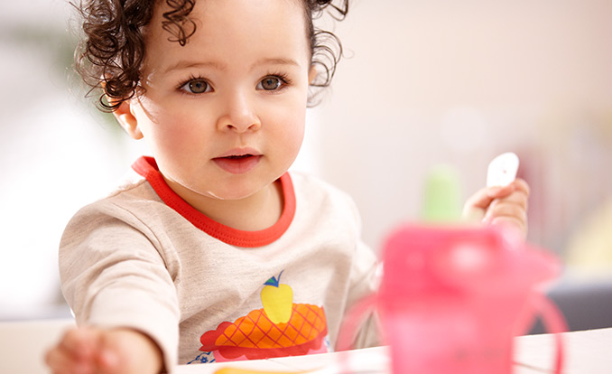 Conseils pour une alimentation &eacute;quilibr&eacute;e